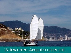 Willow sails into Acapulco Bay